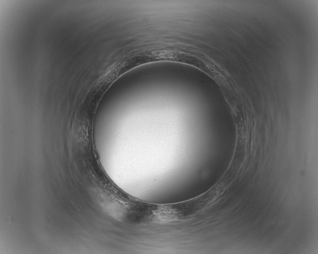 X0000078880603200611131245