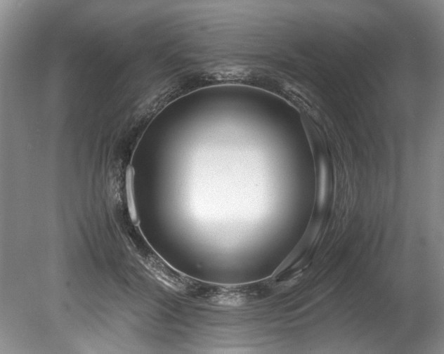 X0000078880604200611131245