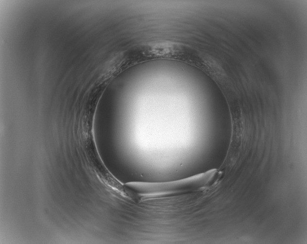 X0000078880606200611131245
