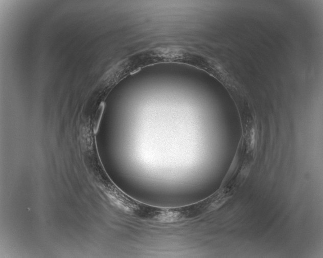 X0000078880609200611131245