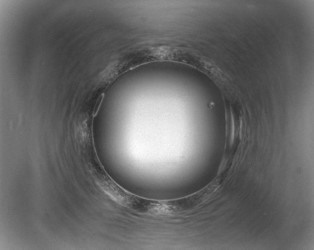 X0000078880611200611131244
