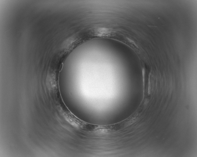 X0000078880620200611131244
