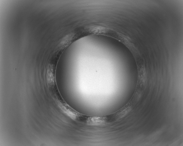 X0000078880622200611131244