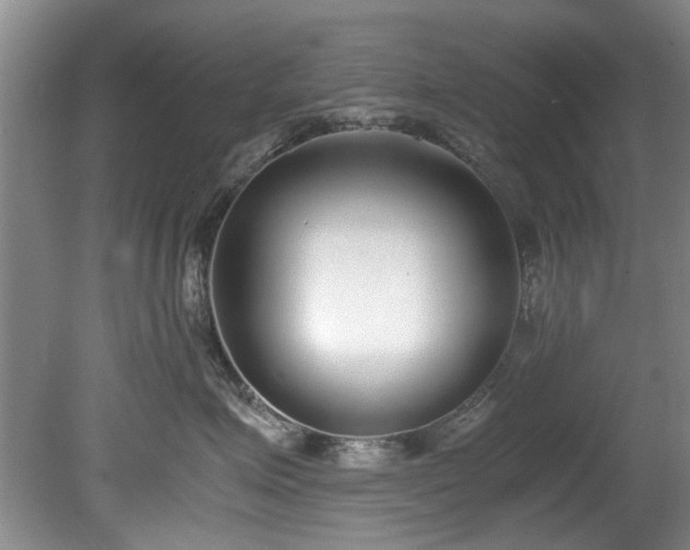X0000078880623200611131244