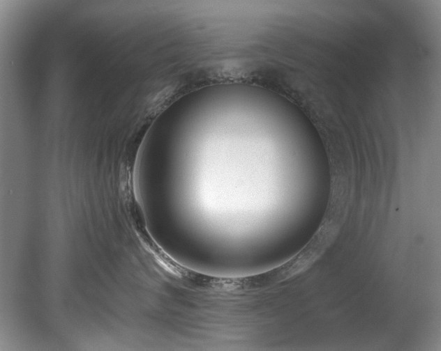 X0000078880624200611131244