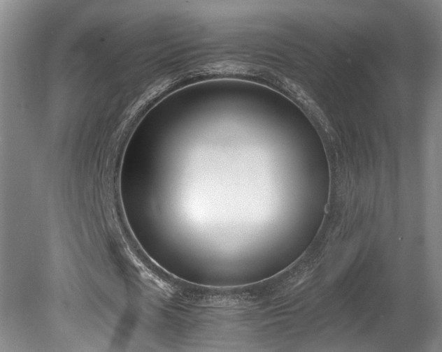 X0000078880625200611131243