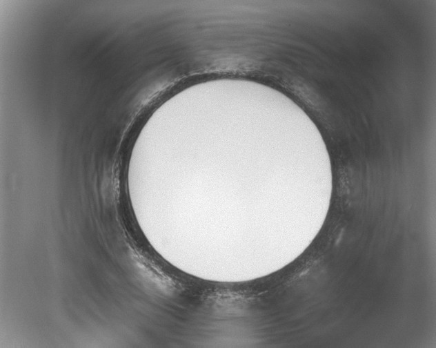 X0000078880632200611131244