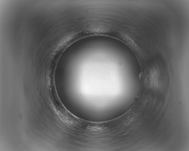 X0000078880635200611131244