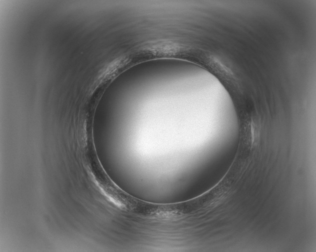 X0000078880638200611131244