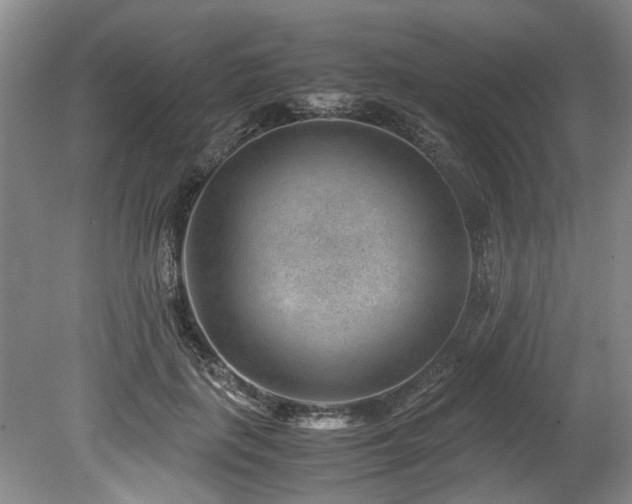 X0000078880651200611131244