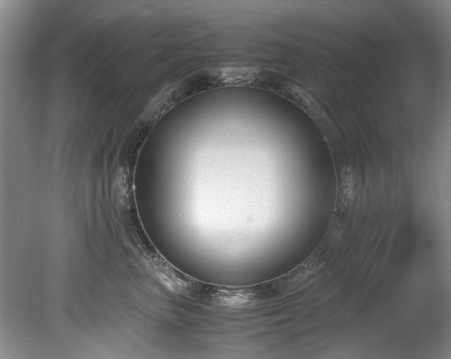 X0000078880667200611131244