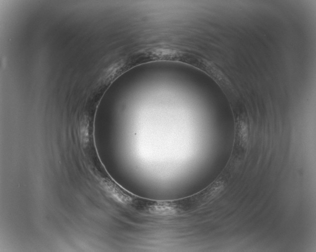 X0000078880668200611131244
