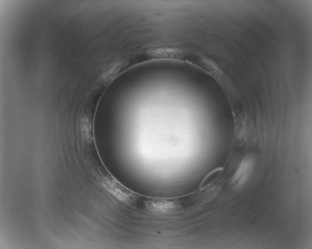 X0000078880669200611131244