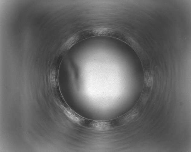 X0000078880670200611131244