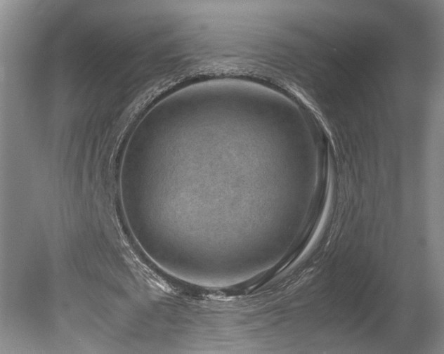 X0000078880673200611131243