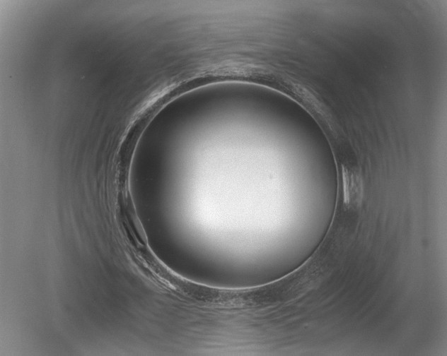X0000078880675200611131243