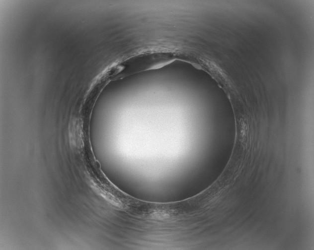 X0000078880684200611131243