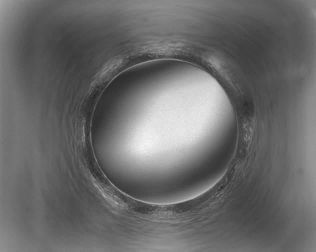 X0000078880685200611131243