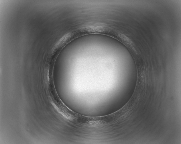 X0000078880686200611131243