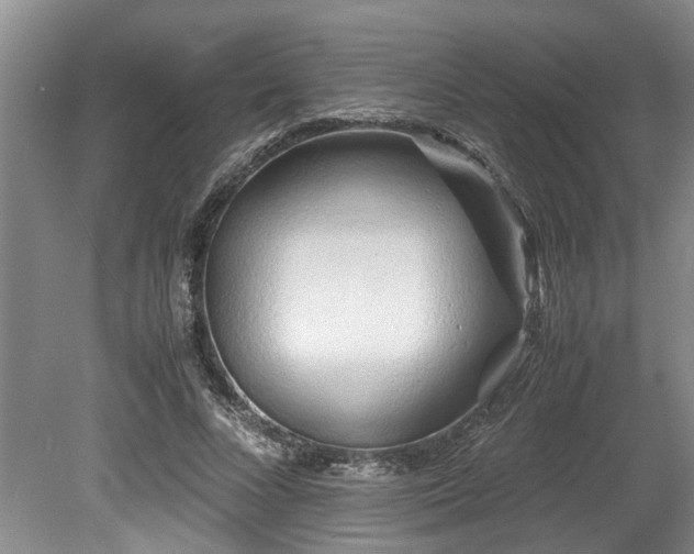 X0000078880688200611131243