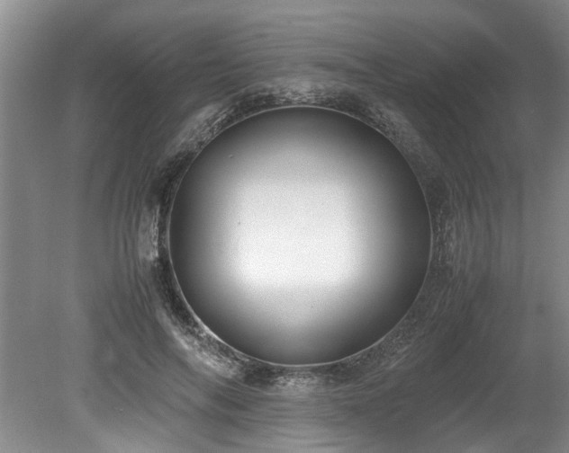 X0000078880694200611131243