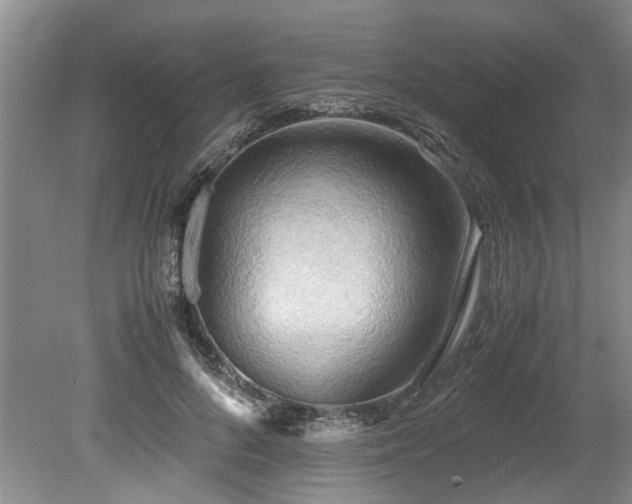 X0000078880696200611131243