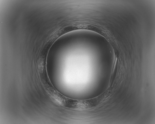 X0000078880697200611131243