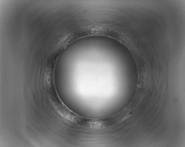 X0000078880698200611131243