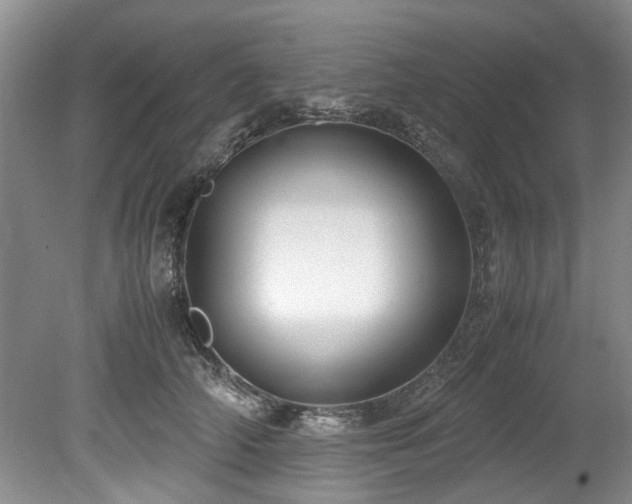 X0000078880706200611131243