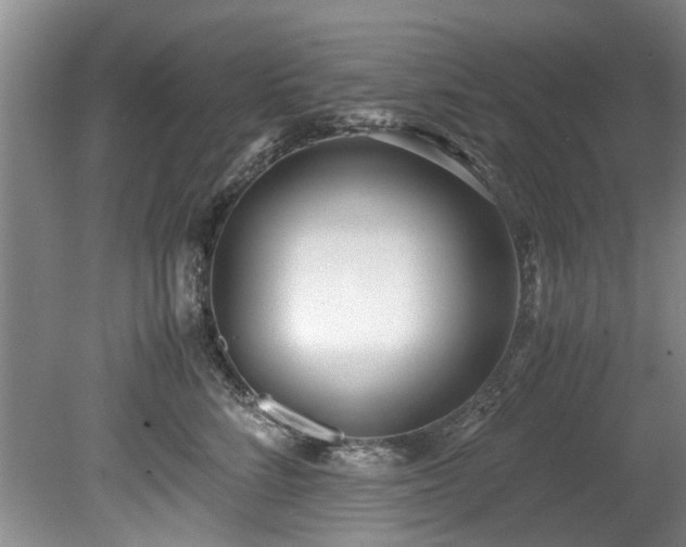 X0000078880712200611131243