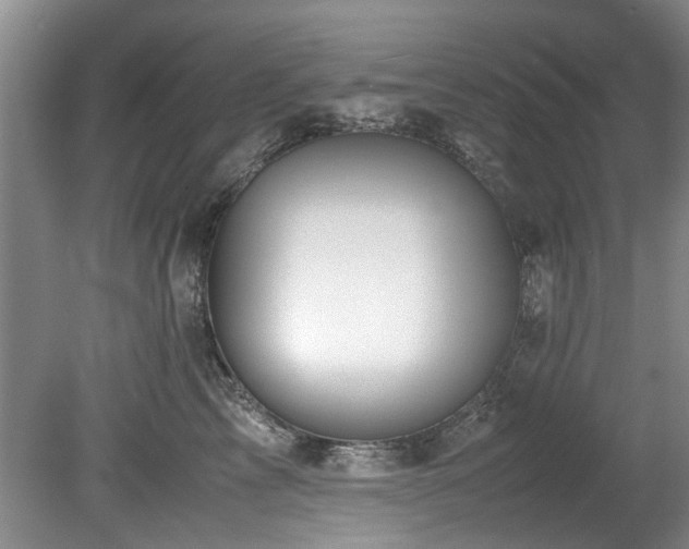 X0000078880713200611131243