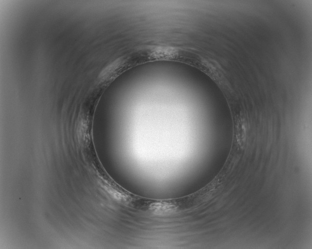 X0000078880714200611131243