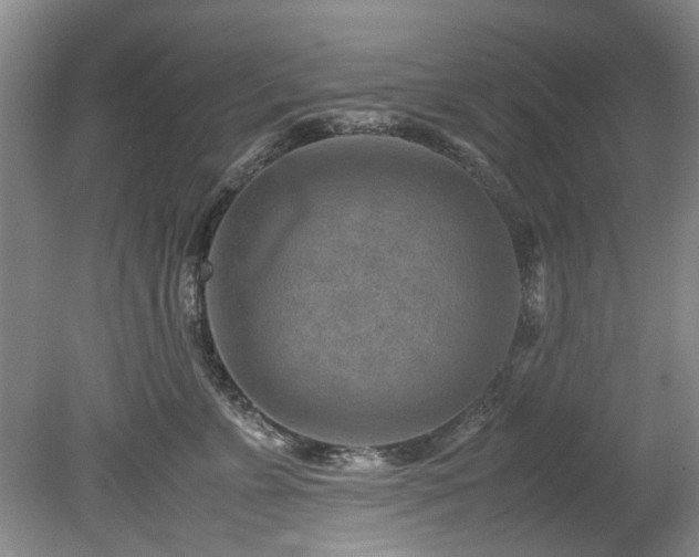X0000078880715200611131243