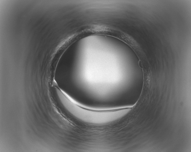 X0000078880732200611131242