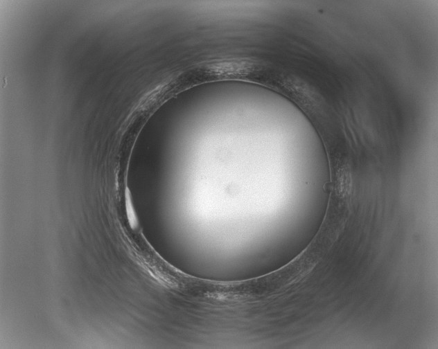 X0000078880733200611131242