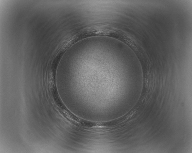 X0000078880748200611131242
