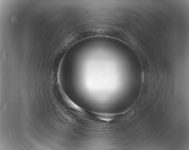 X0000078880750200611131242