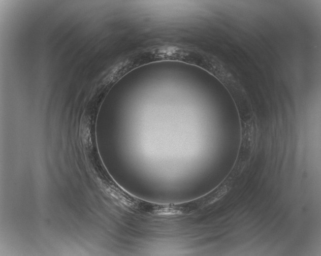 X0000078880754200611131242