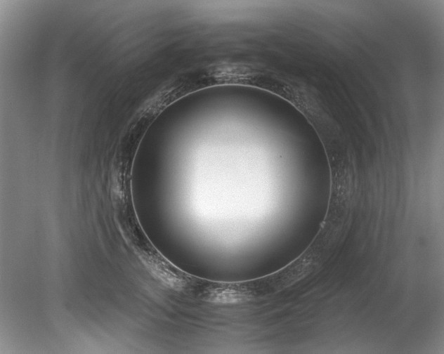 X0000078880755200611131242