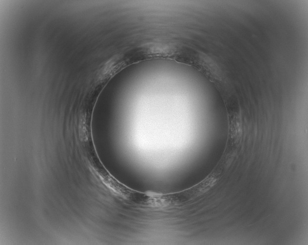 X0000078880764200611131243