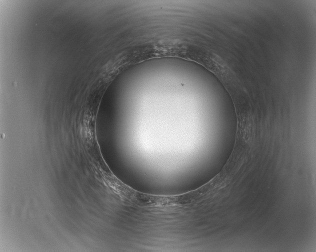 X0000078880770200611131242
