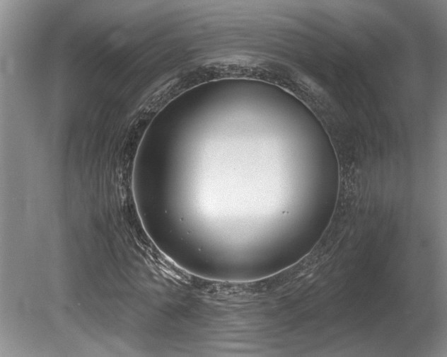 X0000078880774200611131242