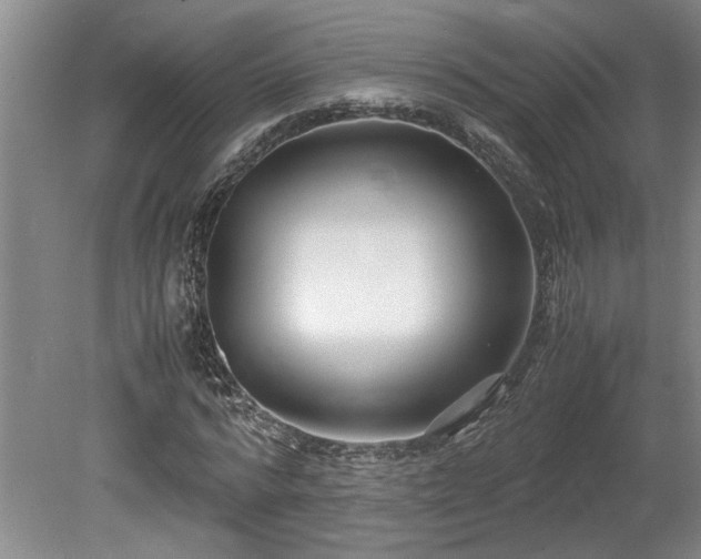 X0000078880776200611131242