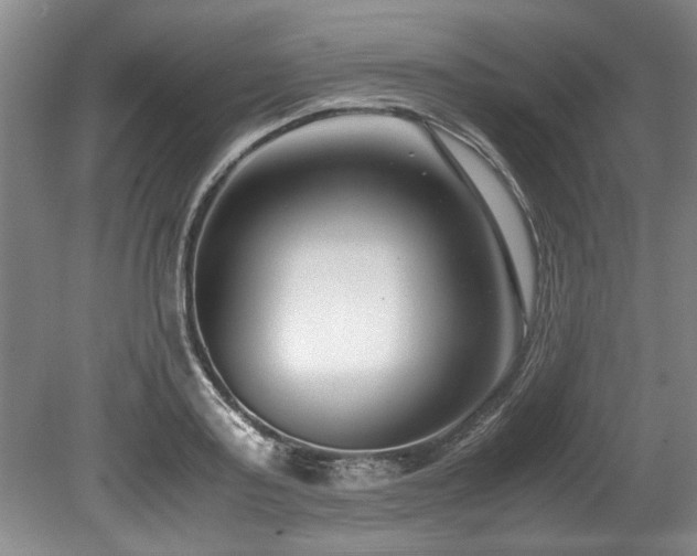 X0000078880795200611131241