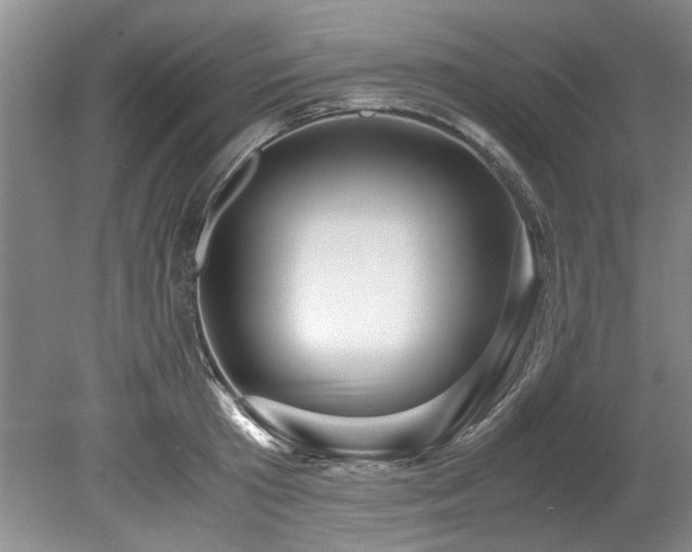 X0000078880801200611131241