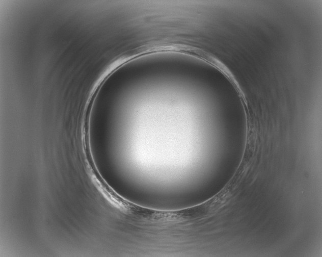 X0000078880811200611131241