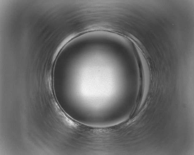 X0000078880812200611131241