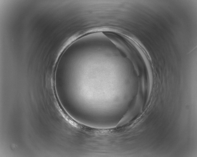 X0000078880813200611131241