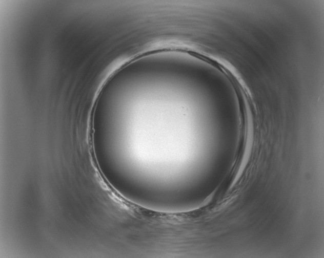 X0000078880815200611131241