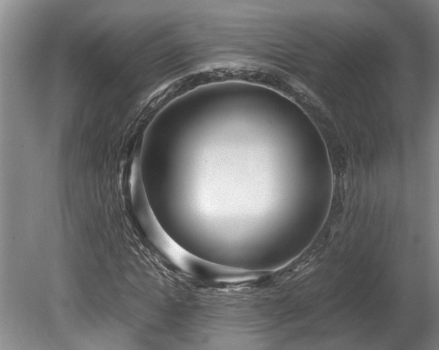 X0000078880822200611131240